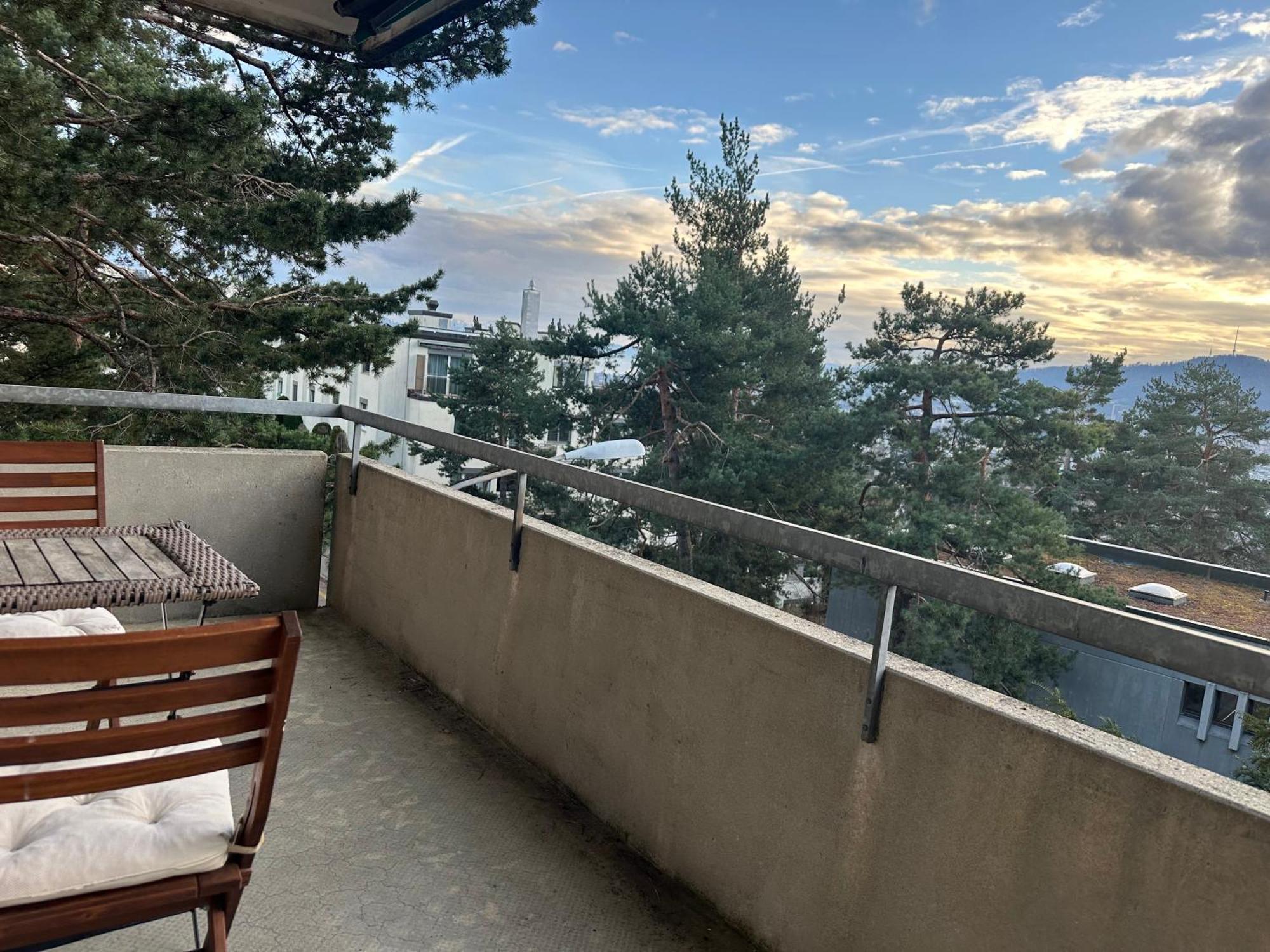 Lovely Room, 15 Min From Center, Mountain View زيورخ المظهر الخارجي الصورة