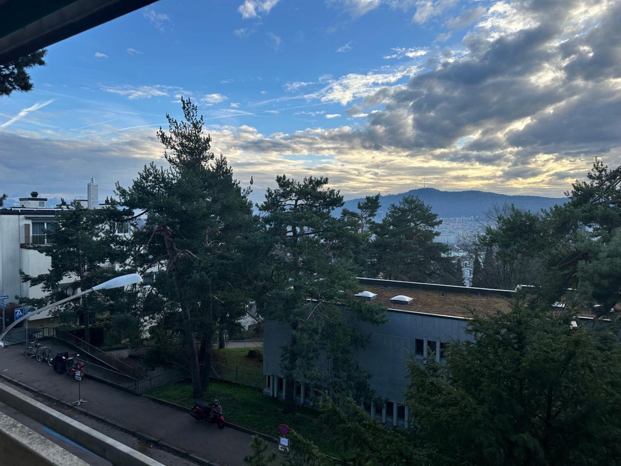 Lovely Room, 15 Min From Center, Mountain View زيورخ المظهر الخارجي الصورة