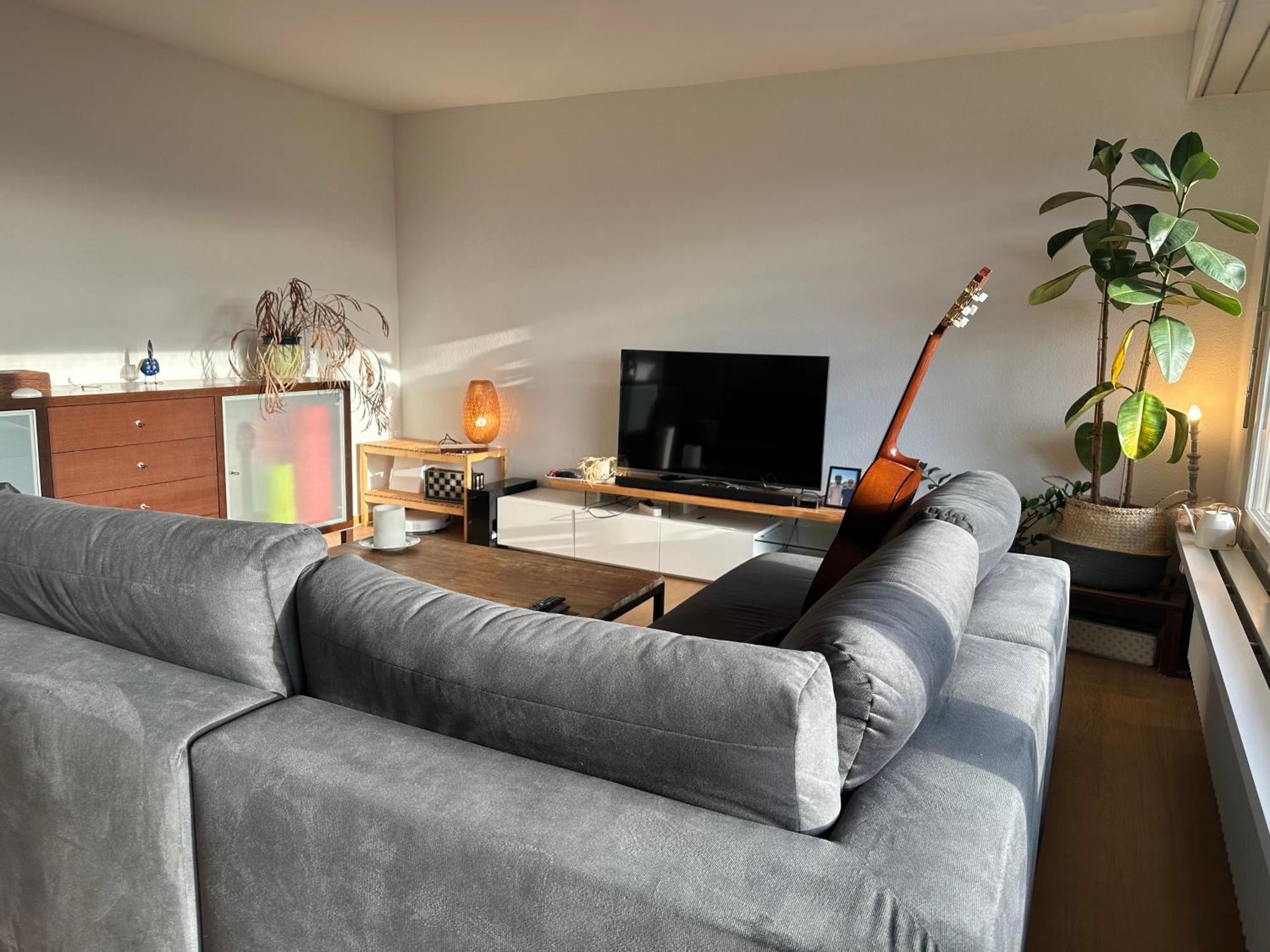 Lovely Room, 15 Min From Center, Mountain View زيورخ المظهر الخارجي الصورة