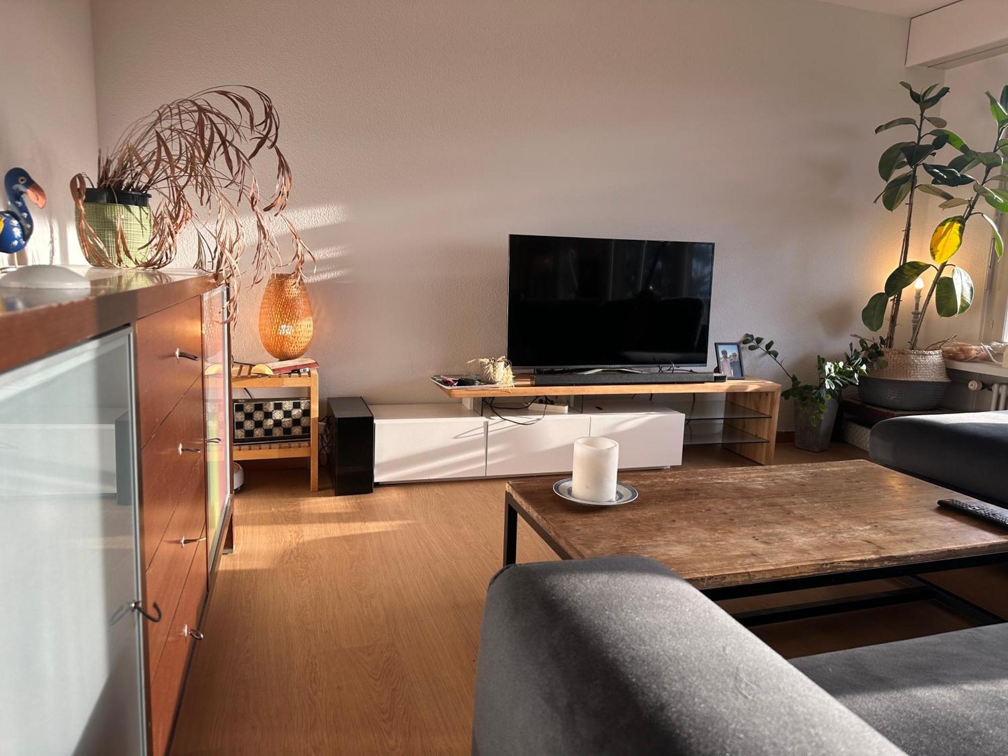 Lovely Room, 15 Min From Center, Mountain View زيورخ المظهر الخارجي الصورة