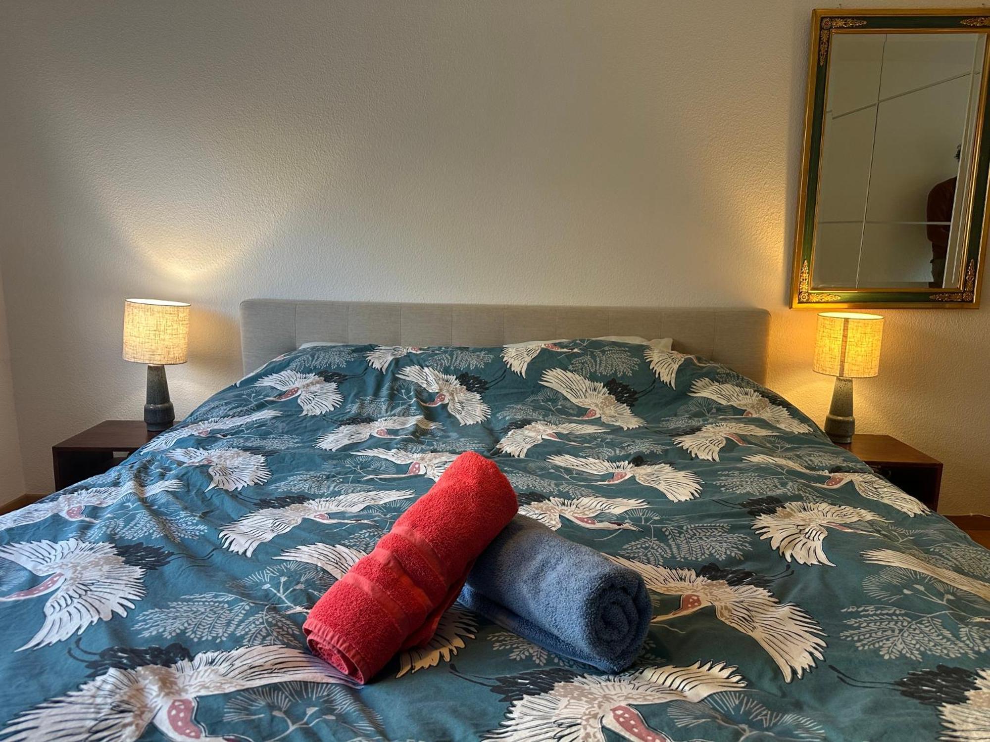 Lovely Room, 15 Min From Center, Mountain View زيورخ المظهر الخارجي الصورة