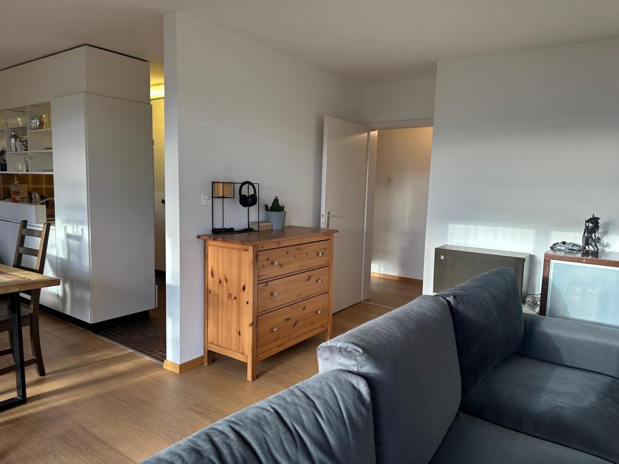 Lovely Room, 15 Min From Center, Mountain View زيورخ المظهر الخارجي الصورة