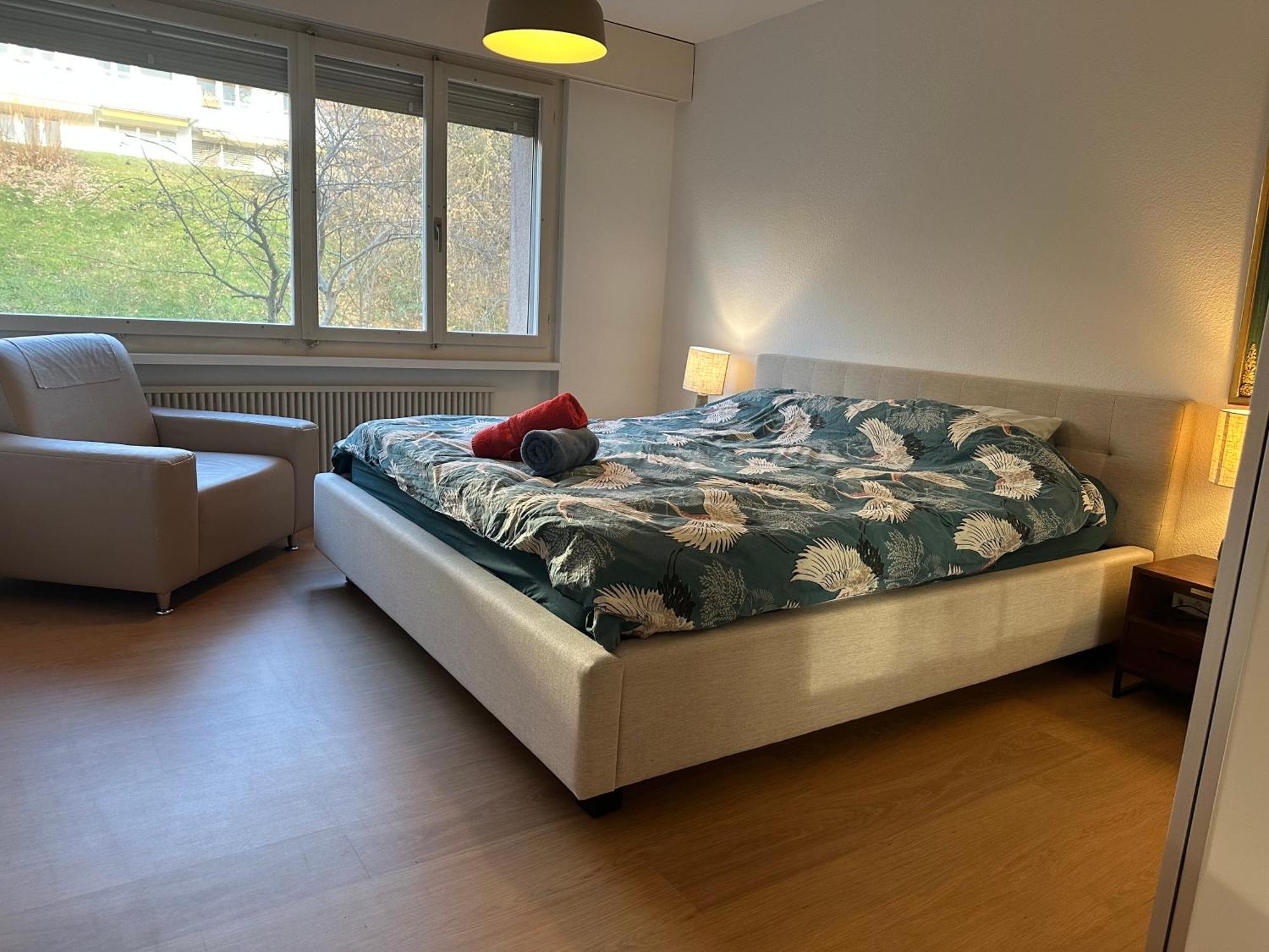 Lovely Room, 15 Min From Center, Mountain View زيورخ المظهر الخارجي الصورة